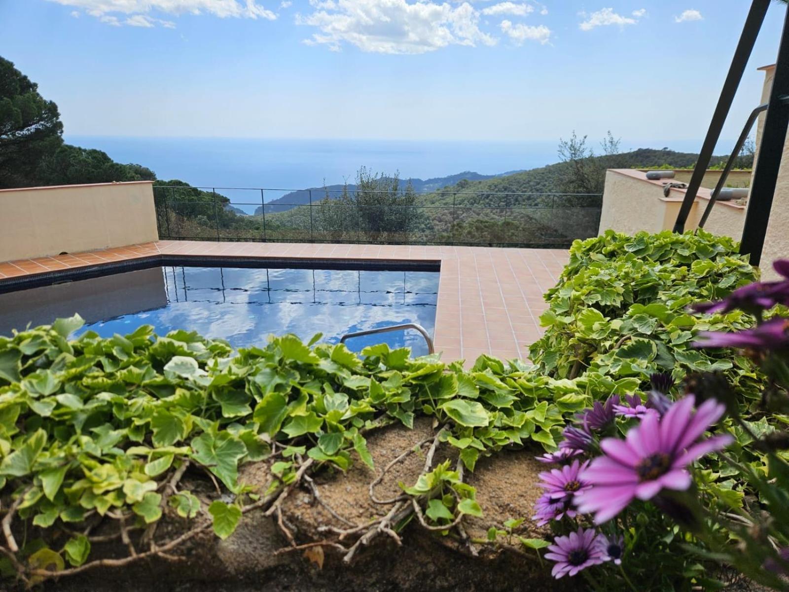 La Roqueta B&B Tossa de Mar Exterior foto